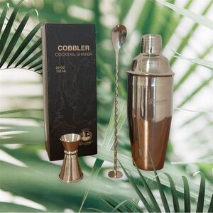 Cobbler Stainless Steel Cocktail Shaker Set